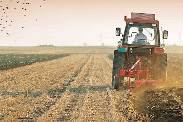 Ускорить вовлечение невостребованных земельных долей в оборот